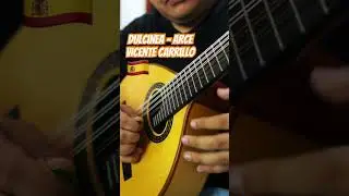 &iquest;C&oacute;mo suena una Bandurria Profesional? #bandurria #plectro #m&uacute;sica  #La&uacute;d #Dulcinea #VicenteCarrillo