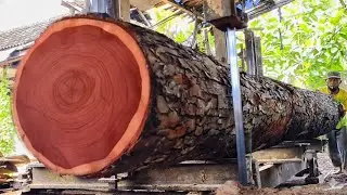 A man turns a 450cm long log into a precision board.