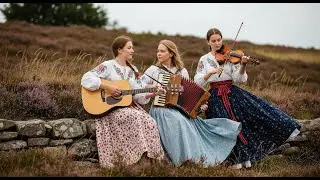 Puente de Luz – Fusión de flamenco español con acordeón guiando el camino | Flamenco Fusión