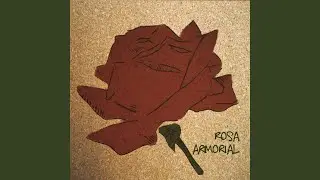 Rosa Carmim