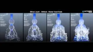 Maya - Bifrost - Master Voxel Size test