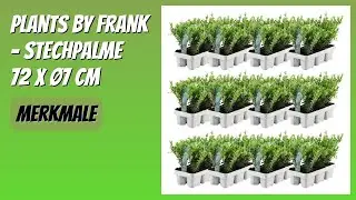 BEWERTUNG (2026): Plants by Frank &ndash; Stechpalme 72 x &Oslash;7 cm. Infos