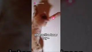 Happypetsnpaw Innovative cat products