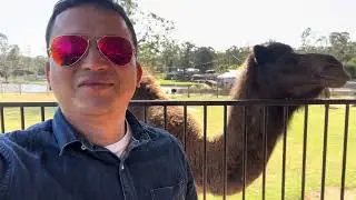 Hunter valley zoo ( family trip)
