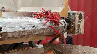 Chilli sauce production line