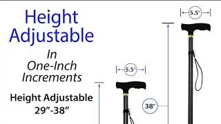 RMS Folding Cane