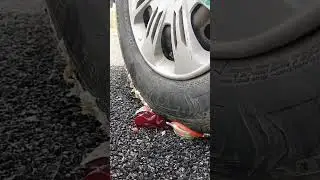 Crushing Crunchy & Soft Things by Car Compilation | Experiment Car vs Tomato , Shampoo , Pepper . ..