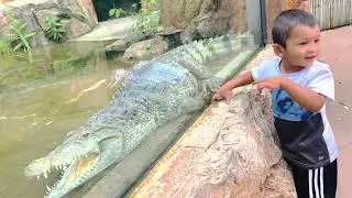 Shreyan Pittsburgh zoo 2022