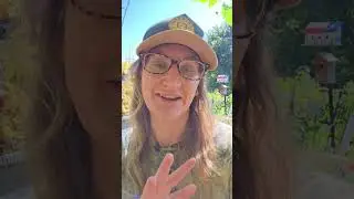 A quick video on powdery Mildew and a few treatment options #gardenlife #gardening #powdermildew