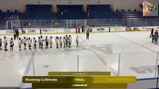 Tigers 14U B Black vs. Wyoming Cutthroats (2025.12.31)