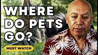 Bashar Reveals Where Your Deceased Pets Go & The Illusion of 