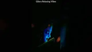 #shorts Meditation Music - Gilory Relaxing Vibes.mp4🌞