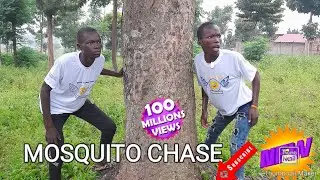 MOSQUITO CHASE@SPARK COMEDY SERIES