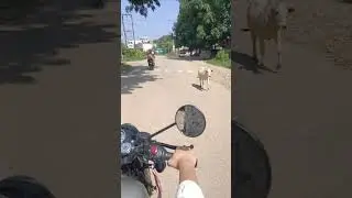 Nepal 😍🇳🇵 Dang tulsipur 📍 #nepal #dangtulsipur #viral #bulletclassic350 #music