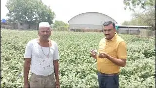 Farmer Product review - DENN,MYCRA,WINGER (Marathi)