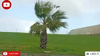 السلام عليكم ورحمه الله تعالى وبركاته جول ممتعه في حد السوالم🙏🙏🤲🤲