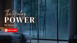 Relaxing Rain Sounds | Night Bedroom Window & Bamboo Forest Rain