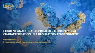 Current Analytical Approaches to Biophysical Characterization in a Regulatory Environment