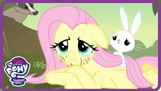 My Little Pony 🌪️ Hurricane Fluttershy: Believe In Yourself! | Toon Mania - Princess World