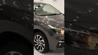 Baleno alpha grey Colour