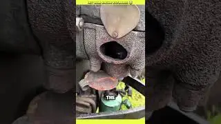 Hot Bulb Engine Explained Things You Don&rsquo;t Know!!🤯🤯