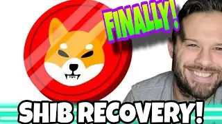 Shiba Inu Coin | SHIB Showing Signs Of A Strong Recovery!