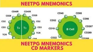 NEETPG Mnemonics  CD Markers   Join WhatsApp https://chat.whatsapp.com/Hx0yldFNCv2KLslpIepiC2