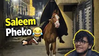 Safa and Phupa's Horse Riding 🐎 | Saleem Pheko Meme 🤣#dailyvlog