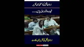 Zartaj Gul Wazir DGK Dabang Speech In National Assembly | Imran Khan | Global Times Pakistan
