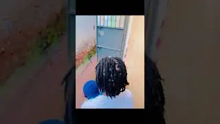 Natural twist #locs #braids