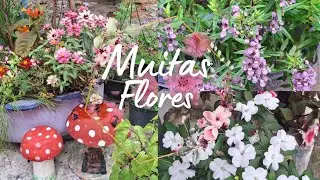 As flores resolveram dar SHOW essa semana!👀🌸
