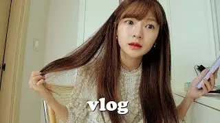 vlog🐤시장 떡볶이ㅣ동물병원ㅣ대하구이ㅣ송이버섯ㅣ꿀토마토ㅣ광란의 산책ㅣ편집자님과 첫식사