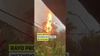 Rayo provoc&oacute; incendio en palmera de Vitacura
