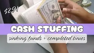 ✨CASH STUFFING✨JAN WEEK 5 #budget #cashstuffing #sinkingfunds #savingschallenges
