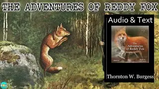 The Adventures of Reddy Fox - Videobook 🎧 Audiobook with Scrolling Text 📖