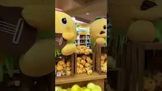 Everything is a pineapple here