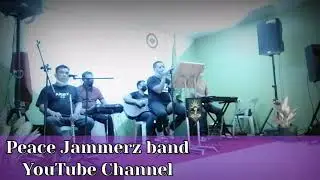 Desert Moon | Babe | Old Photographs (Covered by Peace Jammerz band)