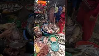 Selling & Buying Fish Activities #fishmarket #fishvideo #fishsellers