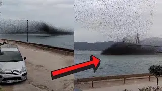 Seltsames Ph&auml;nomen in Griechenland gefilmt! Der Vogelschwarm bildet ungew&ouml;hnliche Formationen!