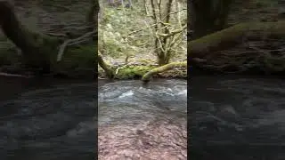 Next potential kayaking spot? #Wales #Llanthony #whitewater #kayaking