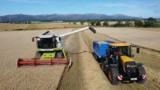 Claas lexion 510 JCB fastrac 4220 2023 Harvest Spring Barley