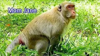 Poor Jane look much worry nearly due give birth soon,Jane look at baby in belly&bless baby healthy