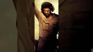che guevara-full screen-whatsapp-status-communist-ldf-izmir marsi-mass-kgf-vertical-4k
