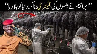 Ibrahim Traor&eacute;&rsquo;s Swan Factory SHOCKED the World | Africa&rsquo;s Hidden Economic Plan