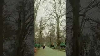Morning in Kashmir University ft. Aftaab Yawar Abdal