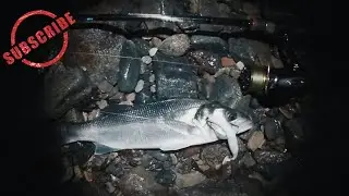 LURE FISHING AT NIGHT WITH SAVAGE GEAR GRAVITY STICK