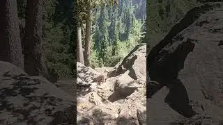 Exclusive First Look at swat Pakistan kpk  kalam forest walk