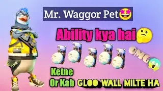 Mr. Waggor Pet ability in free fire ||Pet skill||#freefire