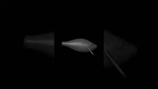 #handmade #wobbler #diy #3dprinting #fish #model #fishing #lure