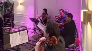 King of My Heart by Taylor Swift - String Quartet